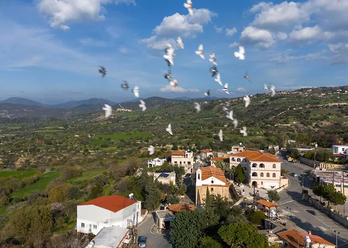 At The Olive Manor *