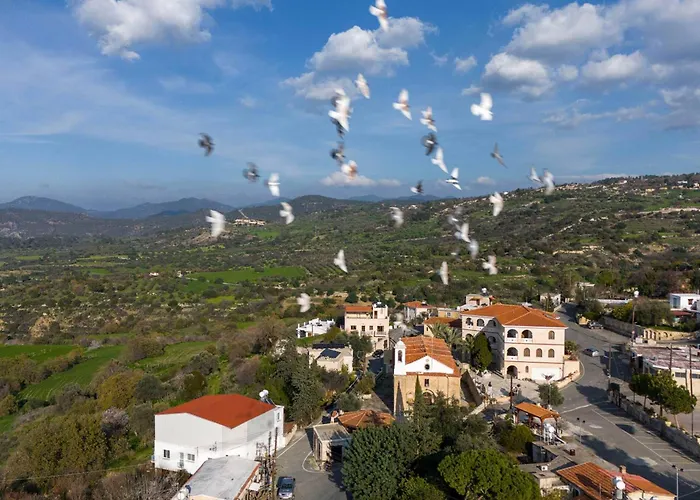 Semesterbostad At The Olive Manor Peristerona (Paphos)